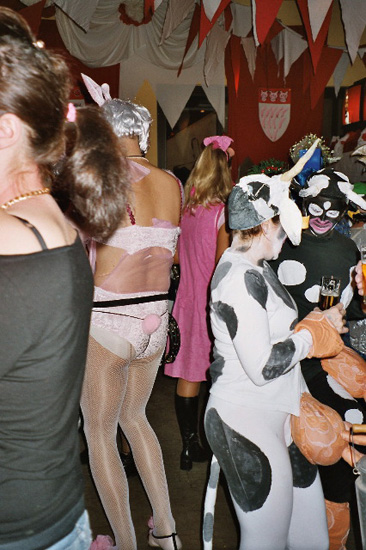 imm010_11
