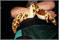 Scheune_2010-02-14_555.JPG